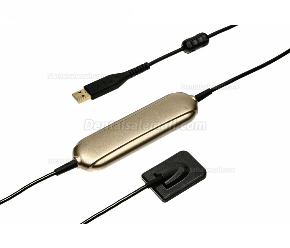 Handy High Resolution Digital USB Type Dental X Ray Sensor Rvg HDR-500B